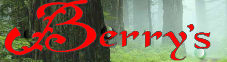 Berry's Skin Care Gondal