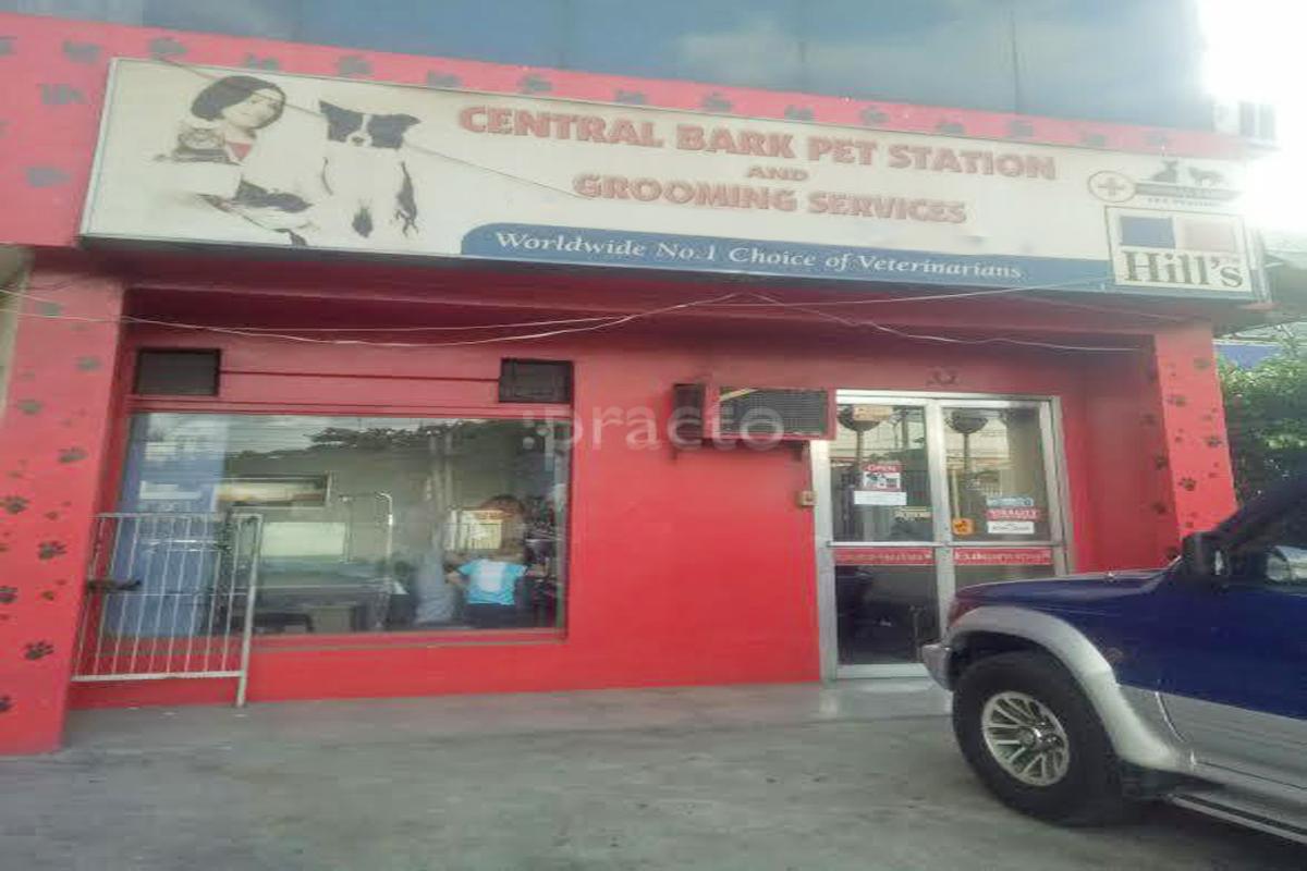 central pet clinic