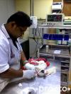 Dr. Abhishek Kalundia - Veterinarian