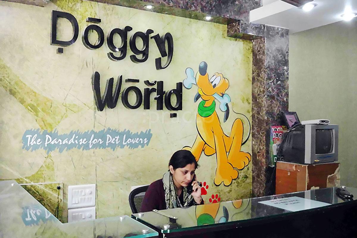 doggie world