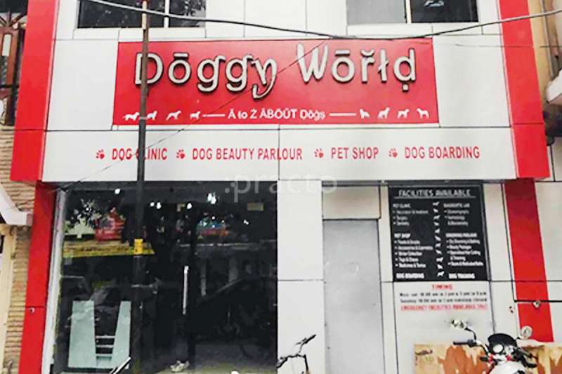 Dog pet store shop in rohini