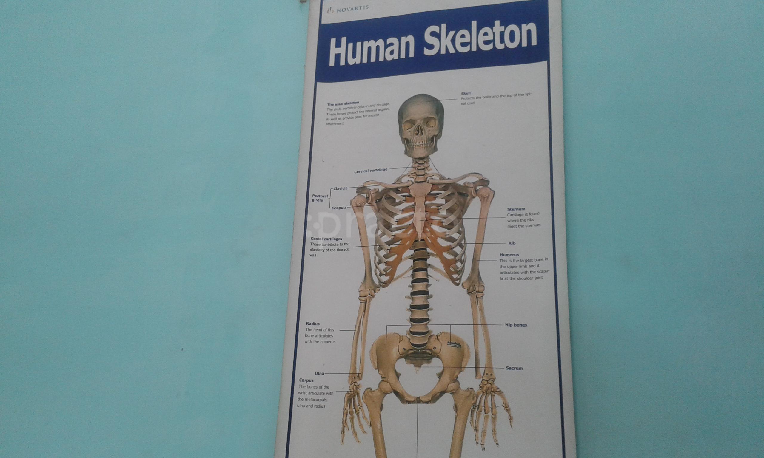 Dr. A.P. Sharma's Clinic Shastri Nagar Meerut