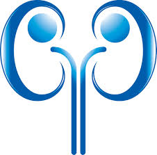 Dr Dharaskar Urology Clinic Pimple Saudagar Pune