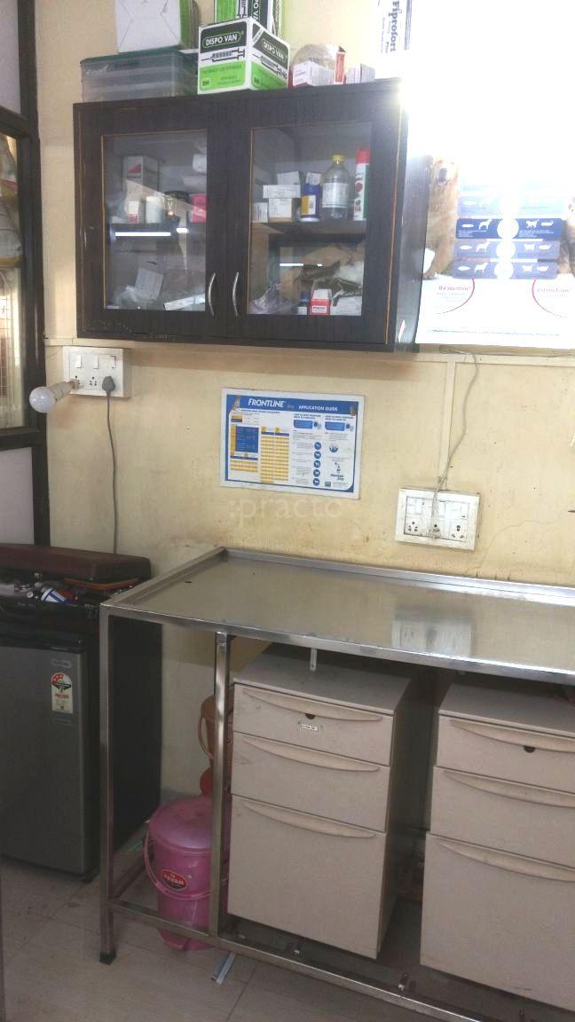 Operation Theatre at Dr. Gawaskar's Pet Clinic Pimple Saudagar Pune