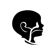 Dr. Sundhari's ENT Clinic