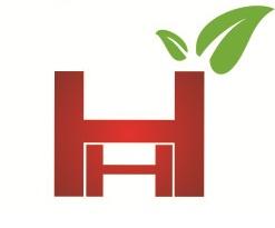 Holistic Homeopathy