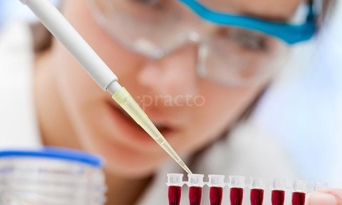 OPD/Ward at Indopath Clinical Pvt. Ltd. Chowringhee Road Kolkata