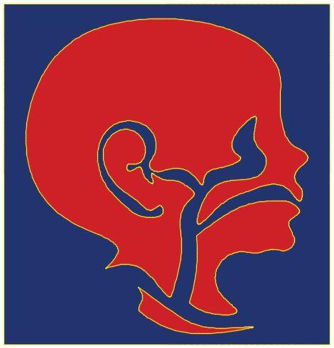Jain ENT Hospital