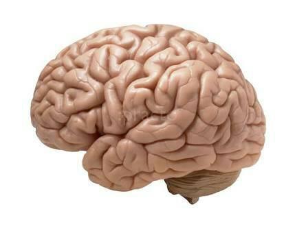 Kasturi Neuro Diagnostic Centre R.S. Puram Coimbatore