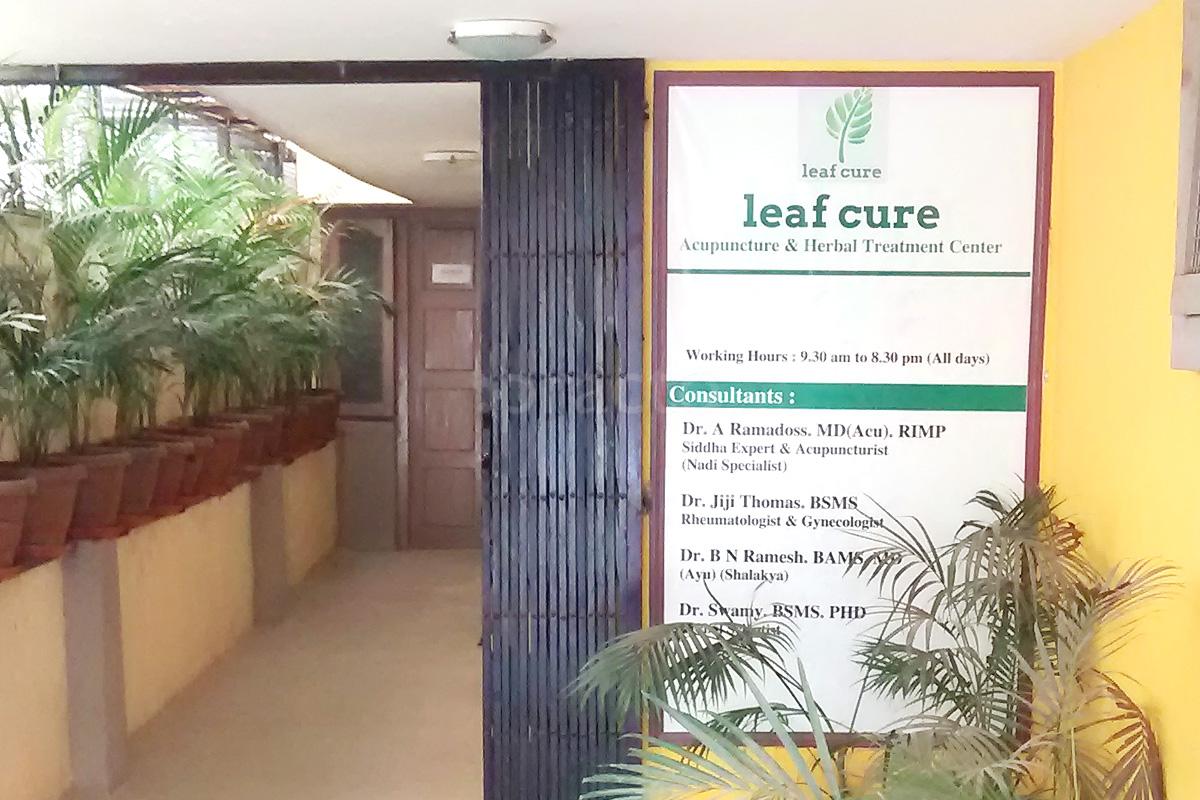 Entrance at Leaf Cure Koramangala 4 Block Bangalore