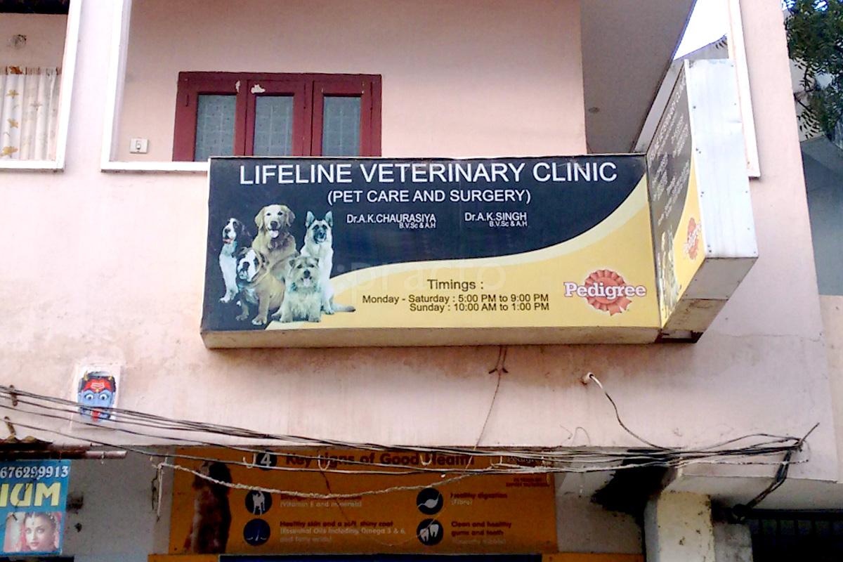 Entrance at Lifeline Veterinary Clinic Hyderguda Hyderabad