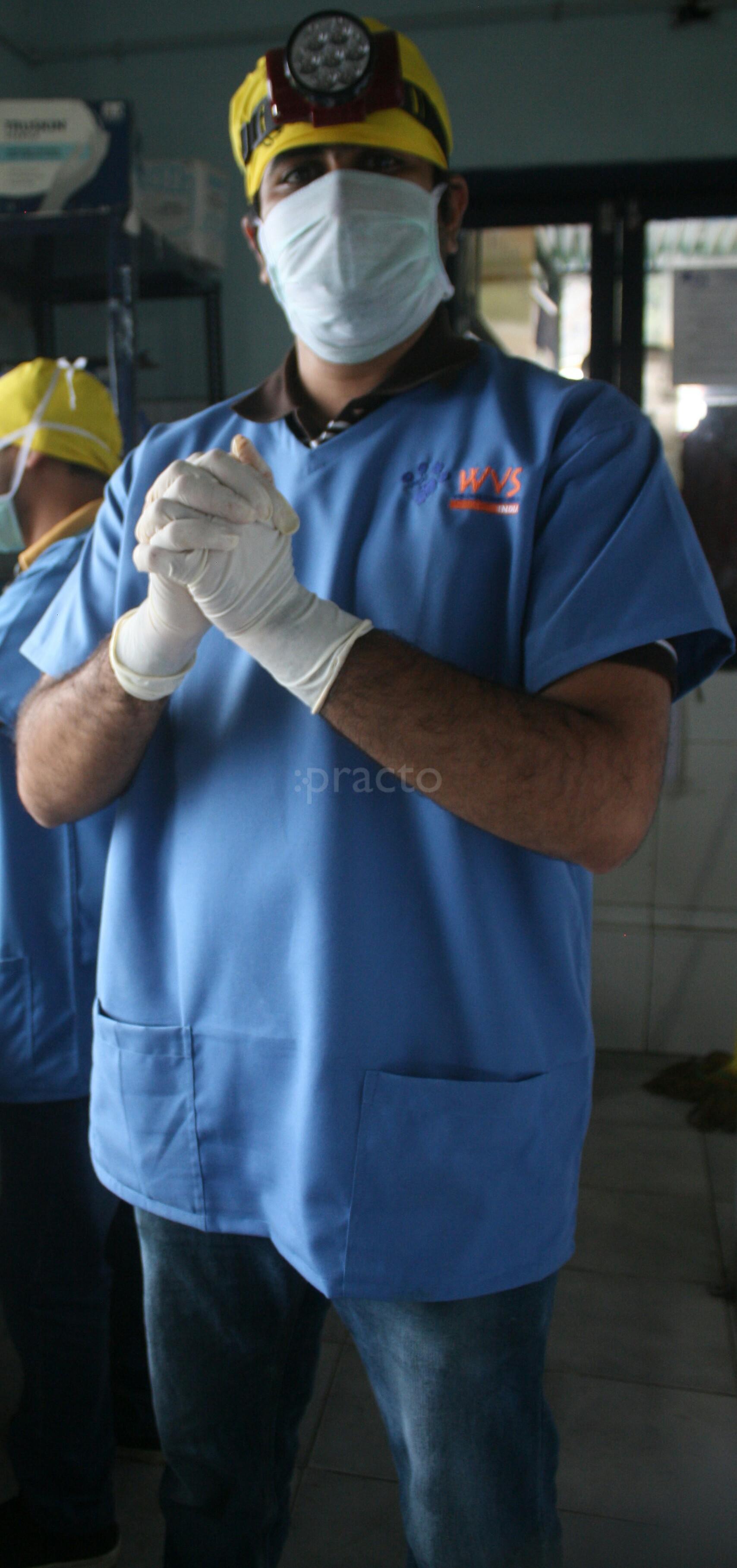 Modern Veterinary (Pet)  Clinic Rajajinagar Bangalore