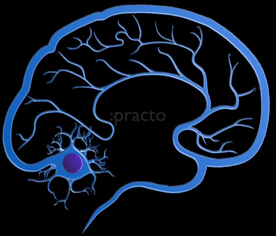 Neuro Clinic