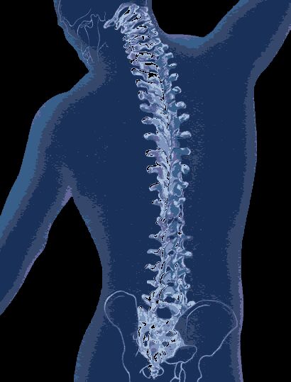 Orthospine Centre & Physio Rehab Care Malad West Mumbai