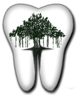 Parijat Dental Clinic