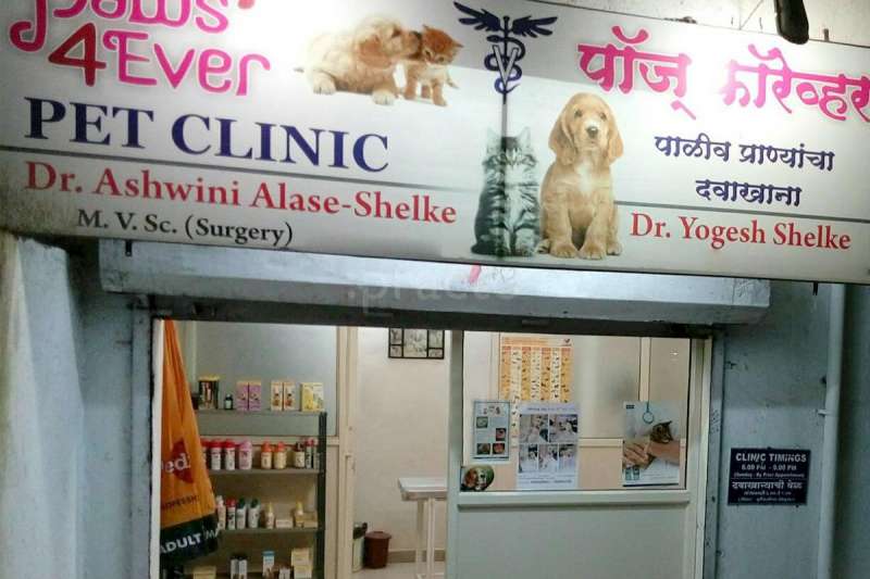 Dog pet sale clinic near me