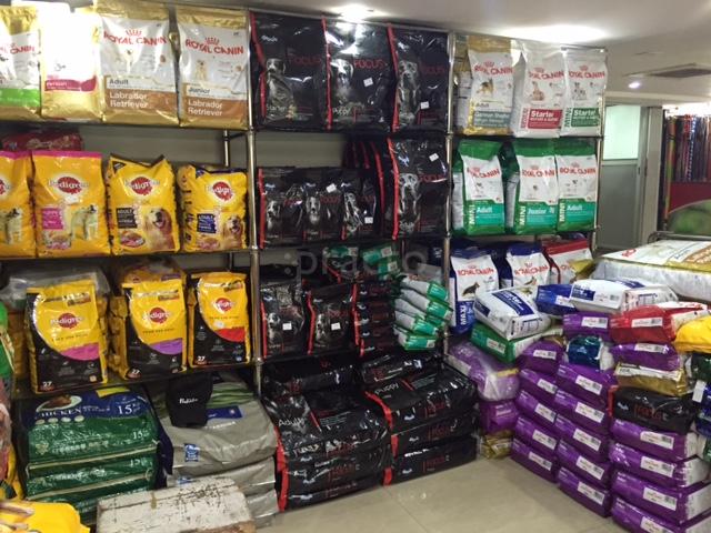 Panacea veterinary clinic Roop Nagar Delhi