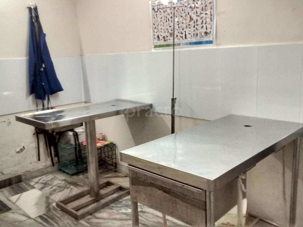 OPD/Ward at Pet Bloom Clinic Sector 71 Mohali