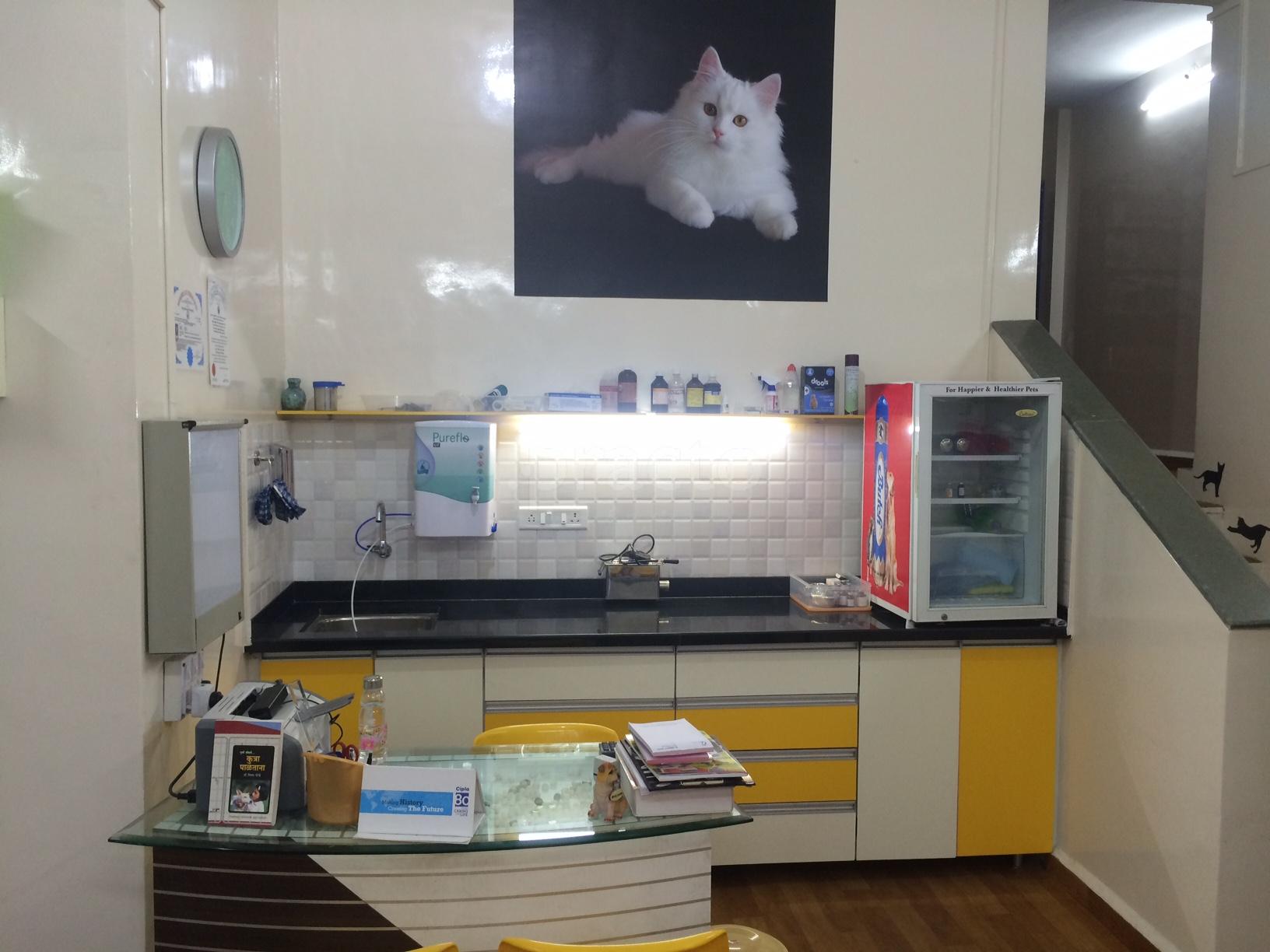 Pawsome Vet Clinic Model Colony Pune