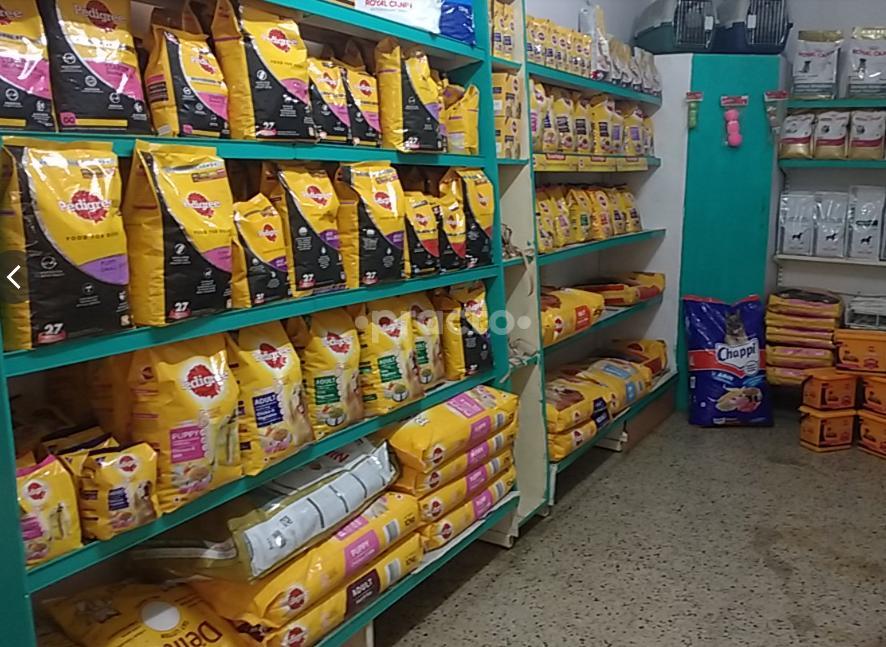 SKS Pet Hospital Neelankarai Chennai