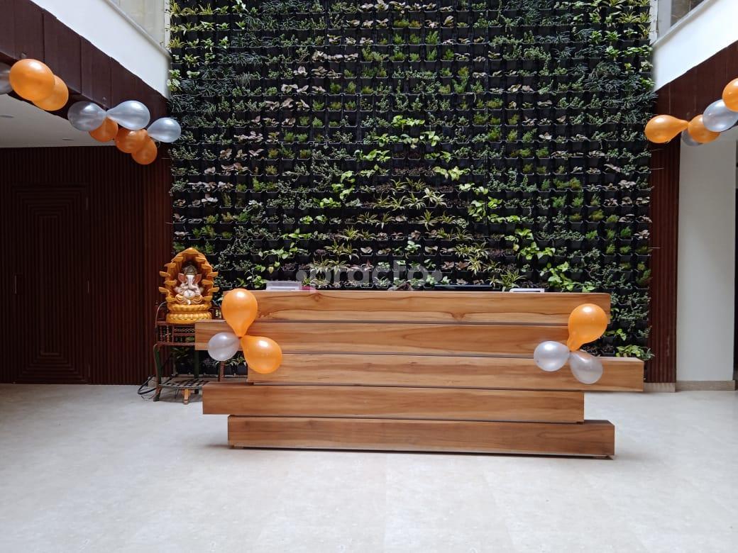 Reception Area at Arunalaya By Dr Chakshu Patel Nagar West Delhi