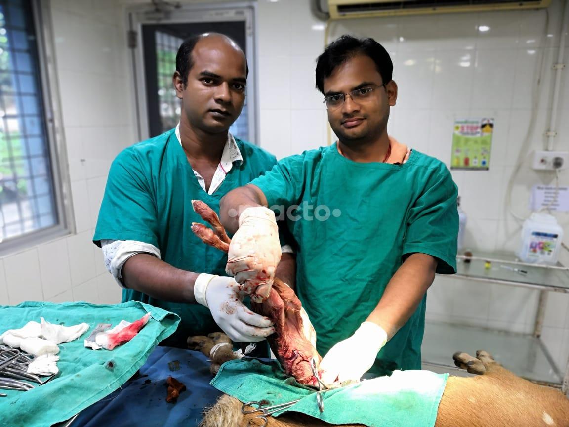 Dr. Rohith Raj Clinic