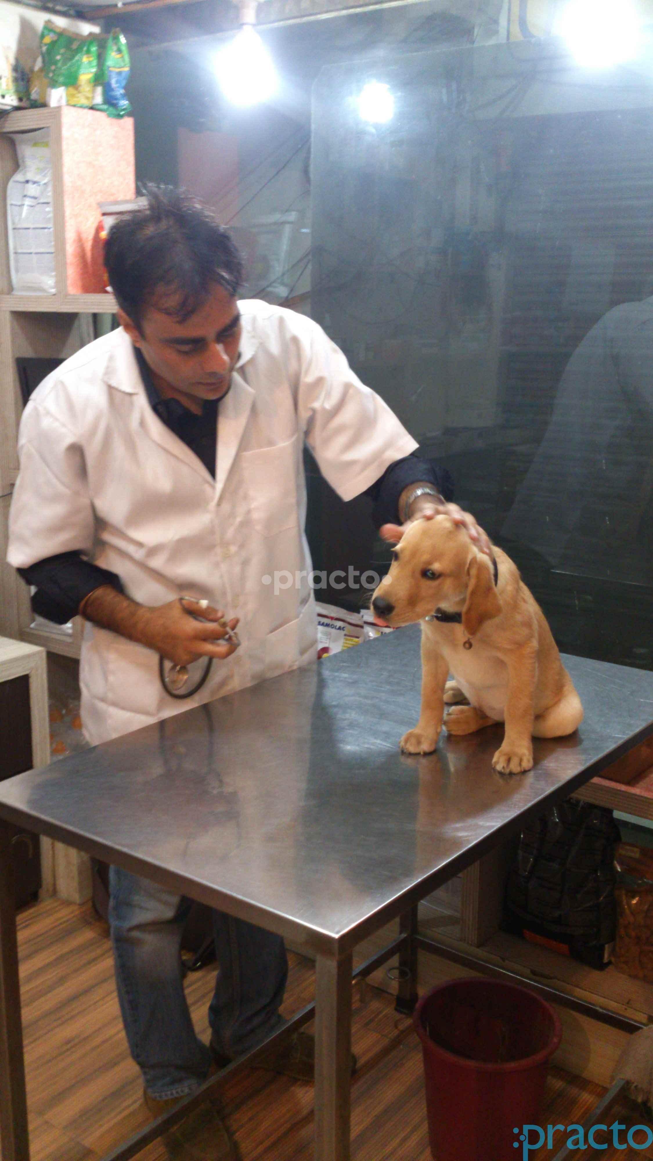 OPD/Ward at New Delhi Veterinary Clinic Sarita Vihar Delhi
