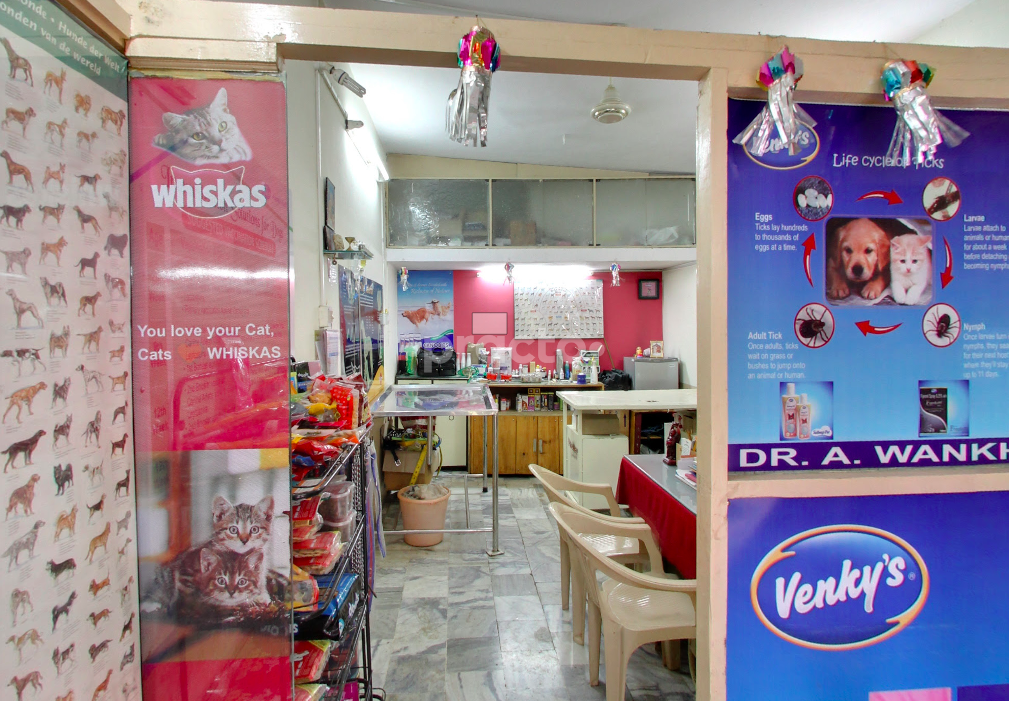 Waiting Area at Pet's Life Line Clinic Baner Pune