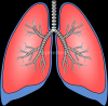 Shekar Clinic & Diagnostic Center