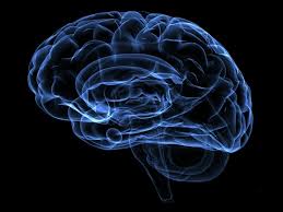 Ace Neuro Clinic