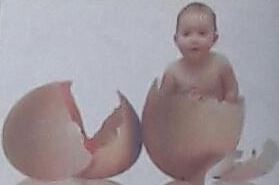IVF Angels Test Tube Baby Centre
