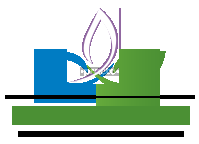 Creative Existence Actualized