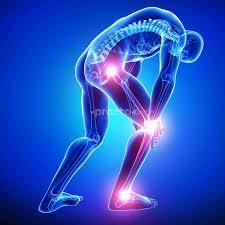 Bone and Joint Orthopaedic Chamber New Town Kolkata