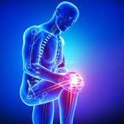 Bone and Joint Orthopaedic Chamber New Town Kolkata