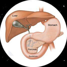 Garg Dental & Gastro Liver Clinic