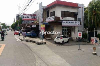 north vet clinic