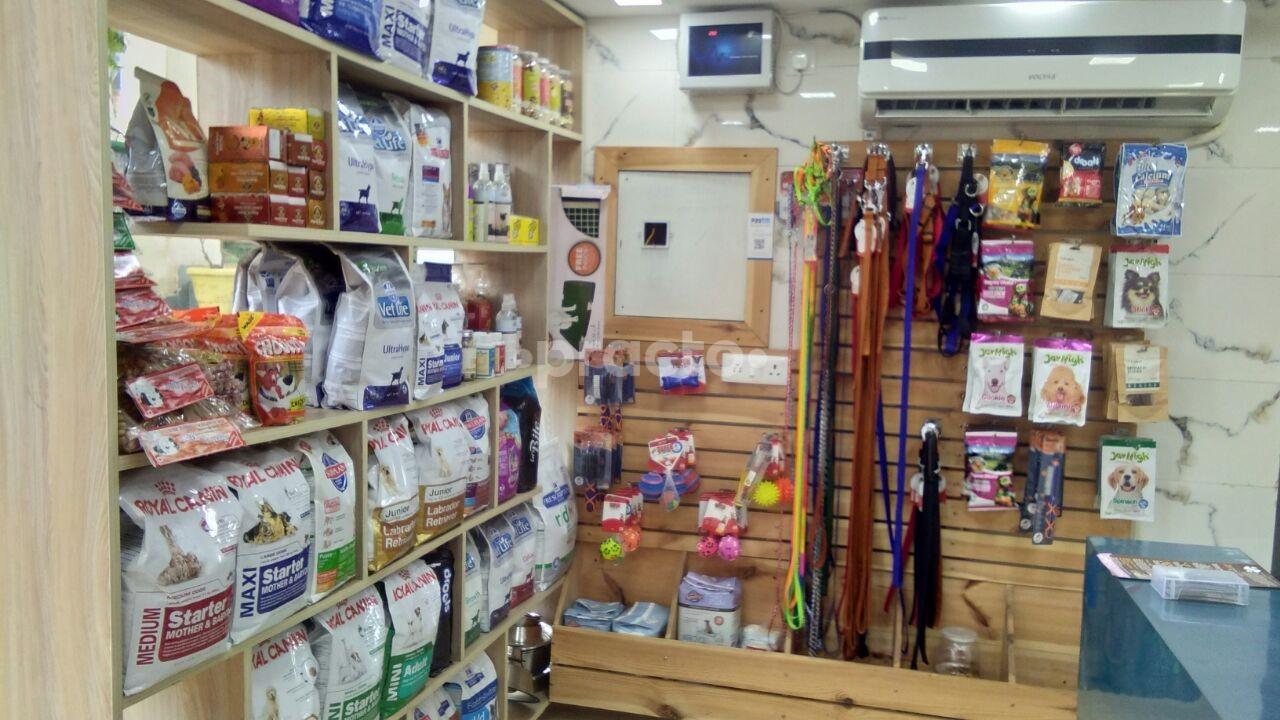 Others at Metro Pet Hospital DLF Phase IV Gurgaon