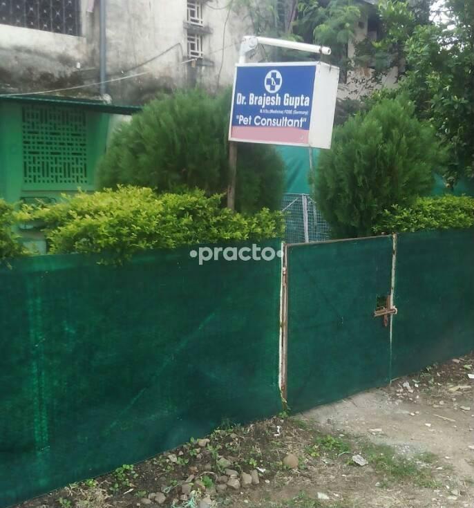 Dr Brajesh Gupta Pet Clinic Tulsi Nagar Bhopal