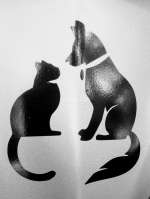 Pet Ozone Pet Clinic