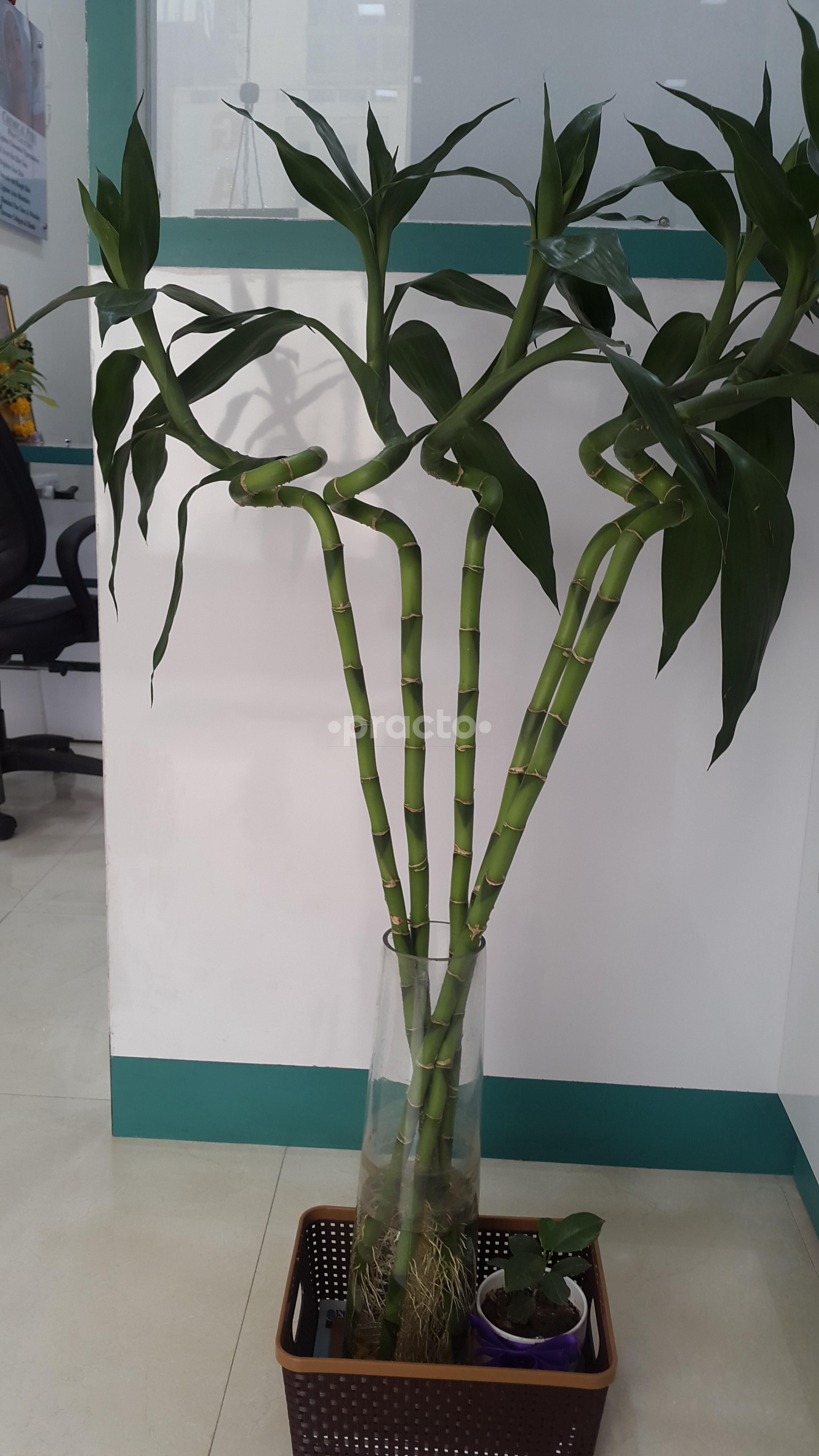 Reception at Facial Esthetica Sector 76 Noida