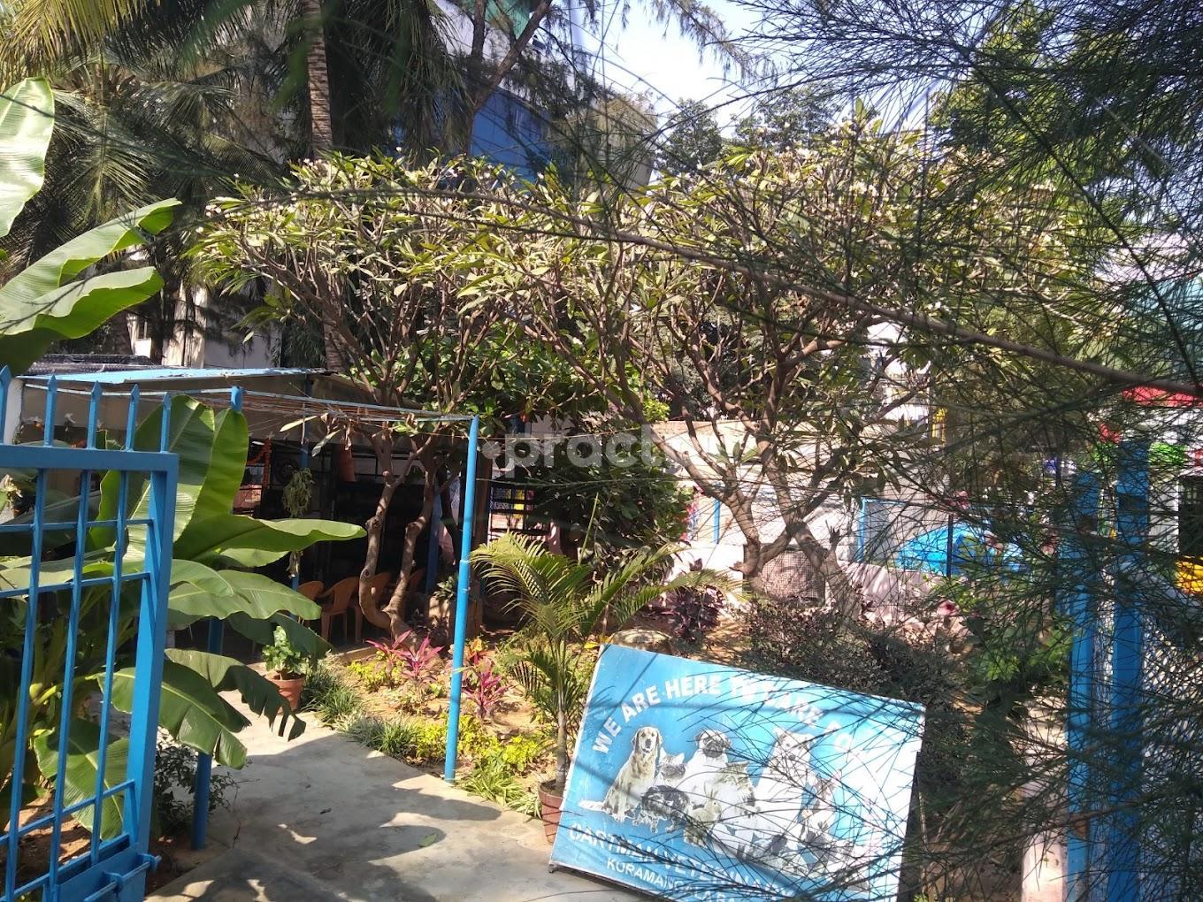 Cartman Animal Hospital Koramangala Bangalore