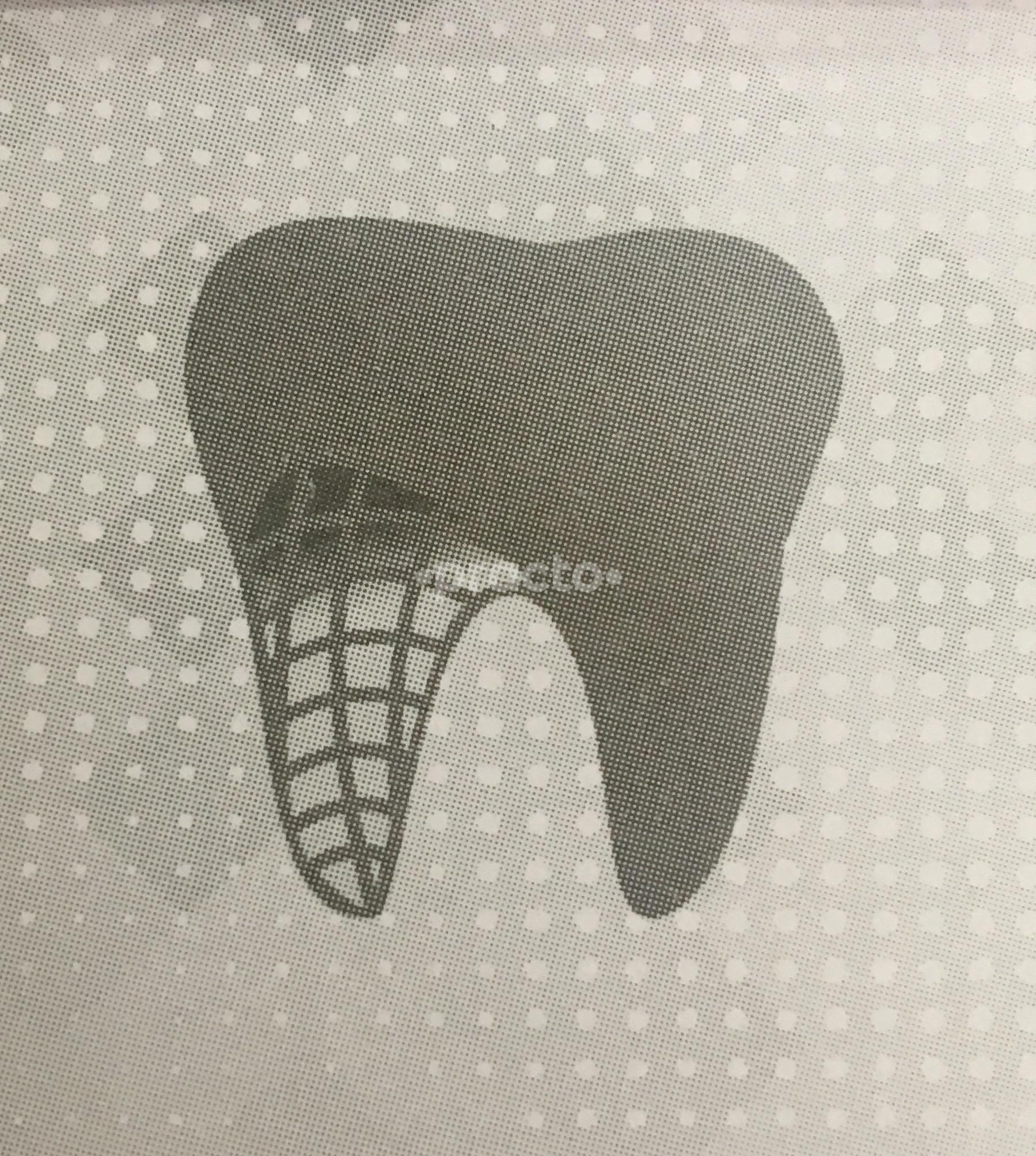 Dr Priyanka Shrawane's dental clinic
