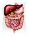 The Laser Gastroenterology Clinic