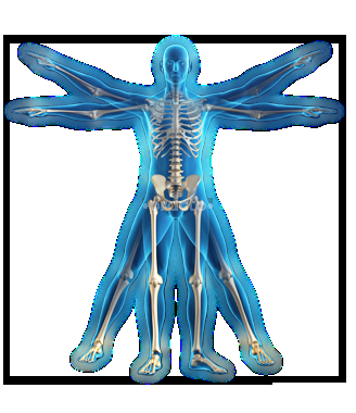 DrPaul Physiotherapy Services