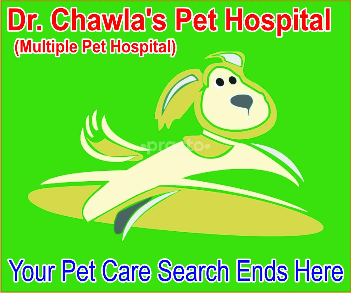 Dr. Chawla's Pet Hospital