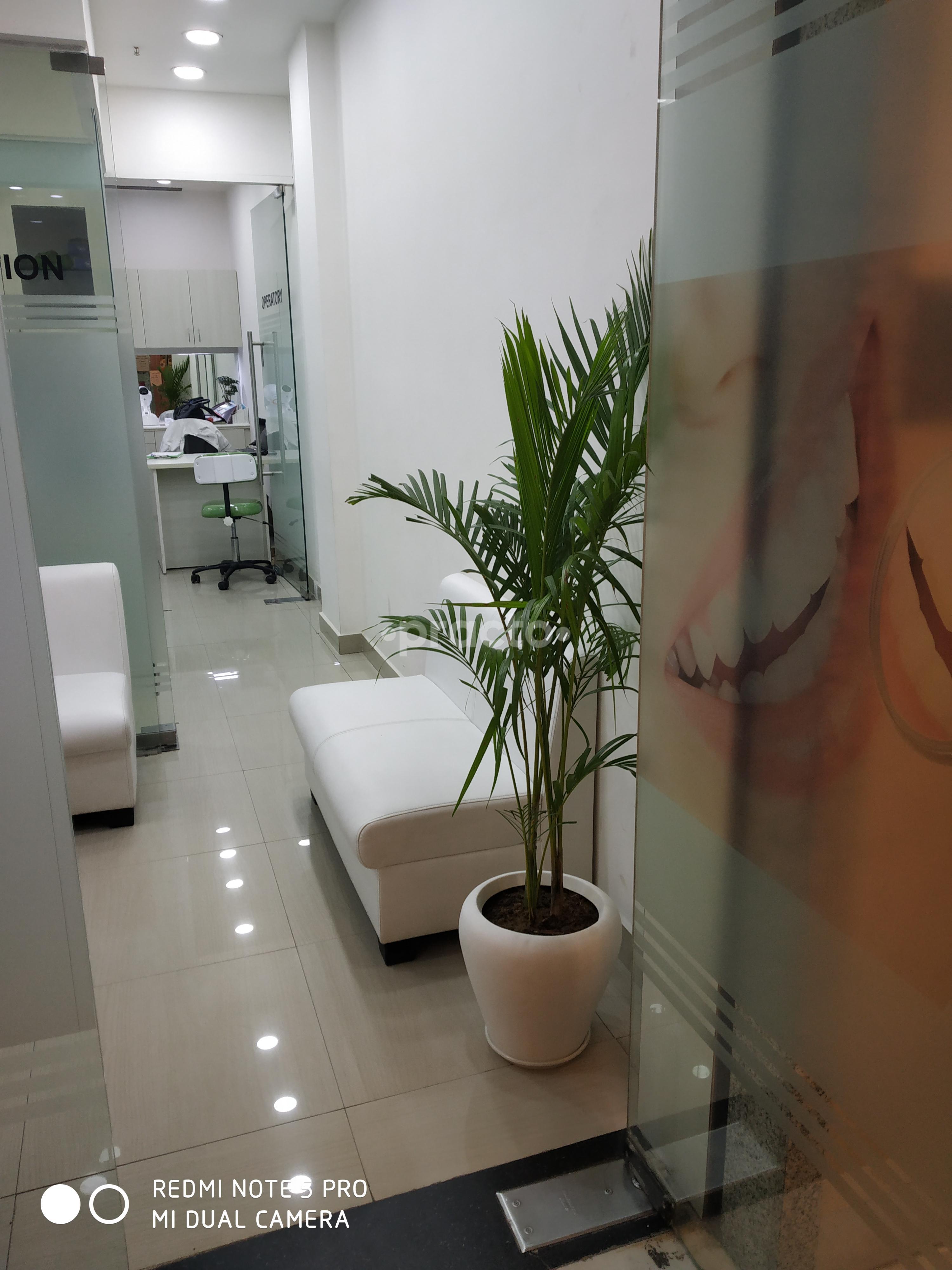 Thyme Dental DLF Phase I Gurgaon