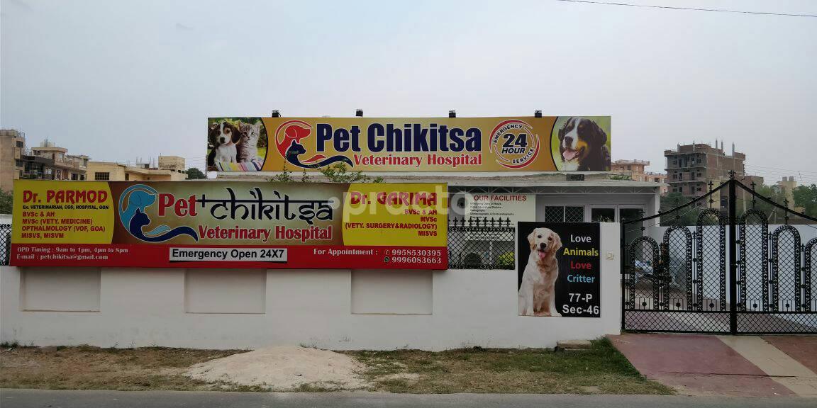Pet Chikitsa Veterinary Hospital Gurgaon Sector 46 Gurgaon