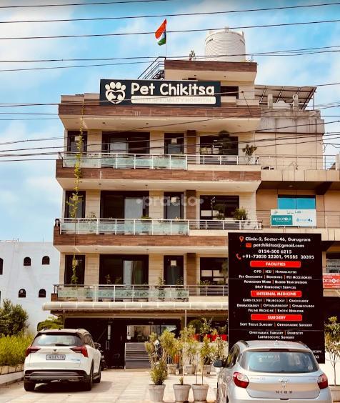 Pet Chikitsa Veterinary Hospital Gurgaon Sector 46 Gurgaon