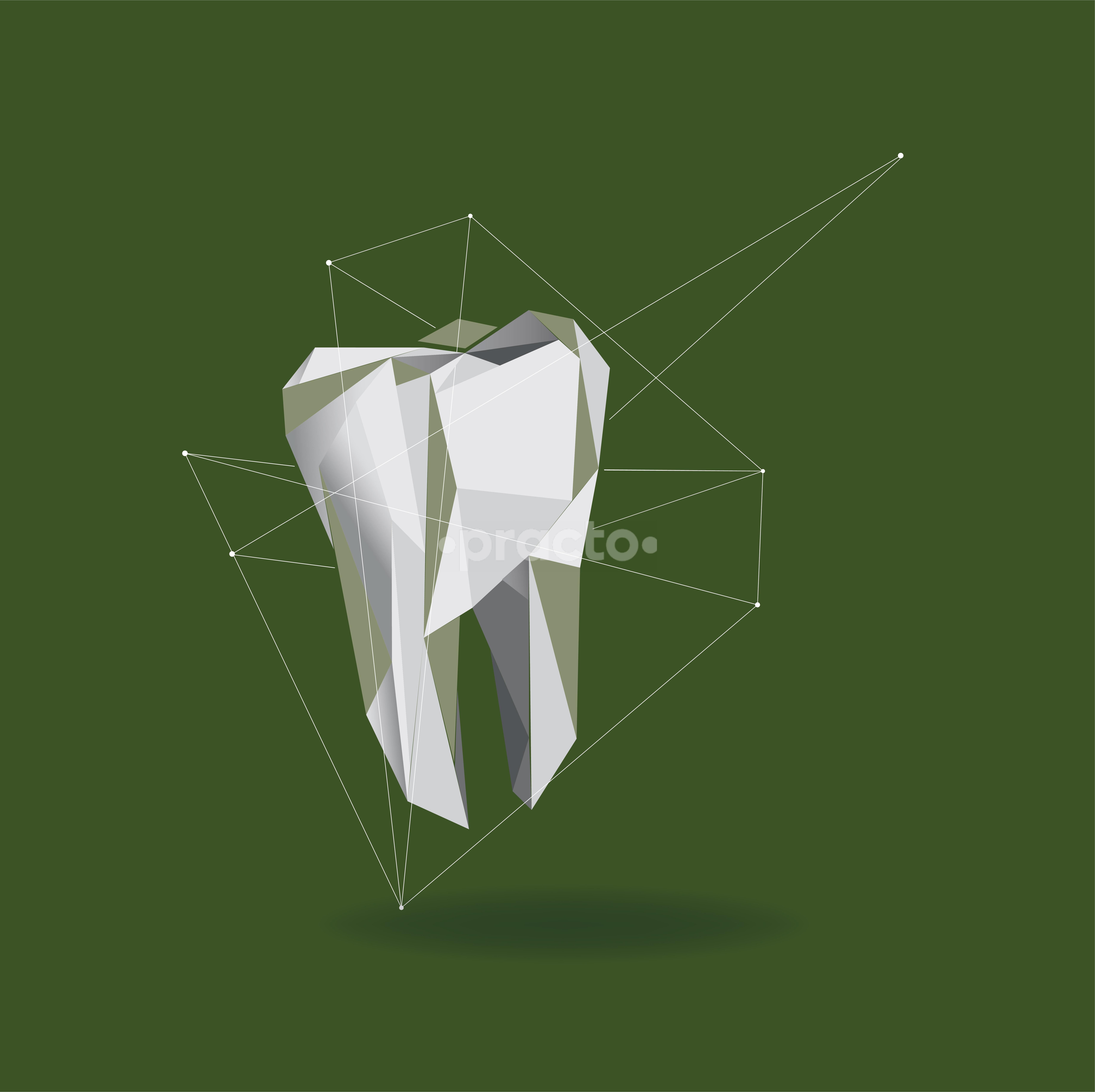 The Dental House