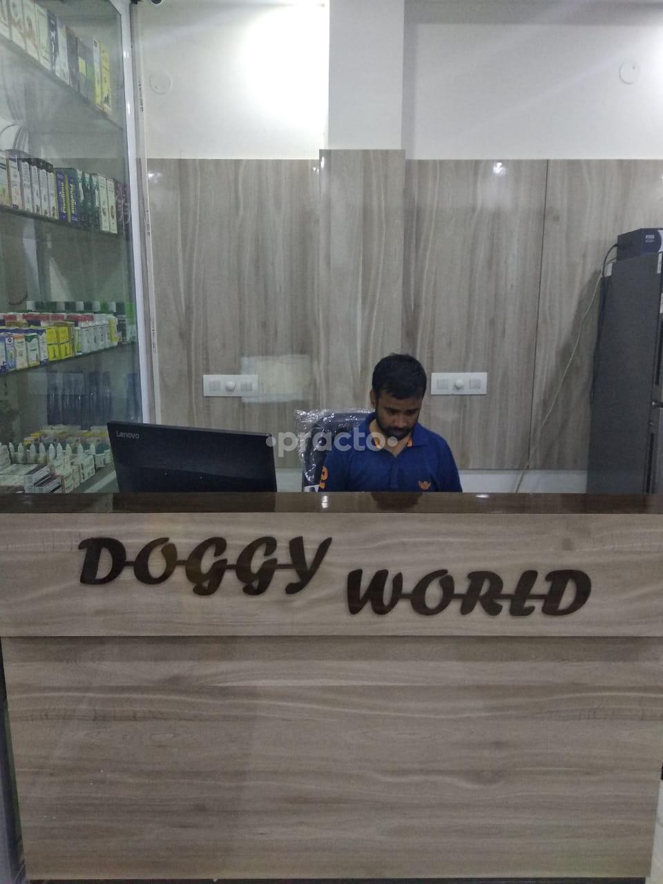 Reception at Doggy World Model Town Delhi